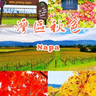 🌟遛娃好去處／三文魚孵化埸／Napa 賞...