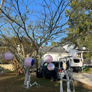 万圣节🎃孩子大人一起嗨...