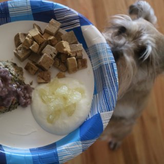 美食DIY分享｜自制狗狗感恩节大餐...