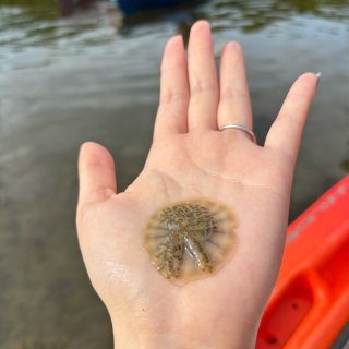 🏖Keywest玩出花探索红树林和活珊瑚...