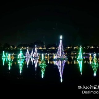 点亮海湾的圣诞之光｜橙县新港夜游赏灯...