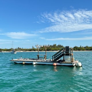 🏖Keywest玩出花探索红树林和活珊瑚...