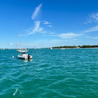 🏖Keywest玩出花探索红树林和活珊瑚...