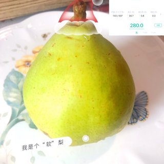 缺德舅“🍐中之王”名副其实｜奶油般质地、...