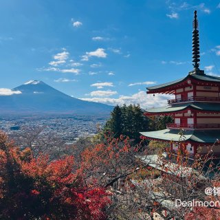 带娃一起看到富士山了！东京直达富士山火车...