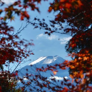 带娃一起看到富士山了！东京直达富士山火车...