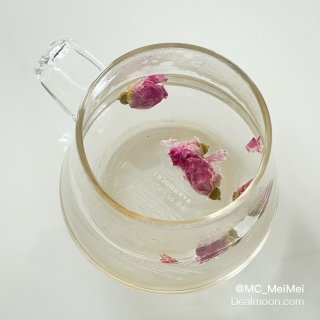 2025 Plog｜杞里香玫瑰花 · 寒...
