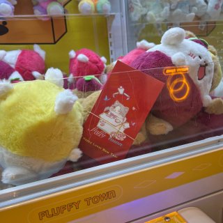 湾区San Jose｜🆕夹娃娃店🧸还能夹...