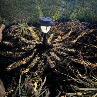 小夜灯 - 点亮绿植🌿一整晚的快乐...
