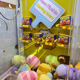 湾区San Jose｜🆕夹娃娃店🧸还能夹...