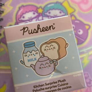 分享～Pusheen cat 娃娃吊飾盲...