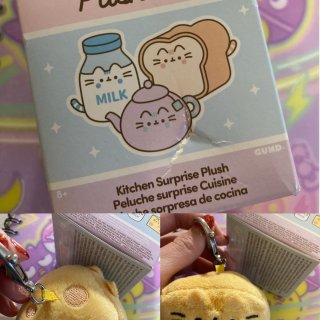 分享～Pusheen cat 娃娃吊飾盲...