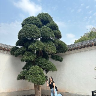 广州打卡地标永庆坊，值得一逛！...