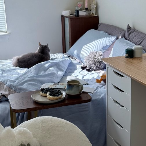 罗莱灵若系列床品🌕冷月如霜💎高能量女孩的高颜值卧室