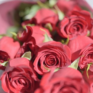 情人节仪式感，平淡日子里的微光浪漫...