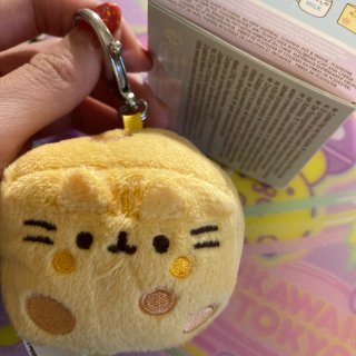 分享～Pusheen cat 娃娃吊飾盲...