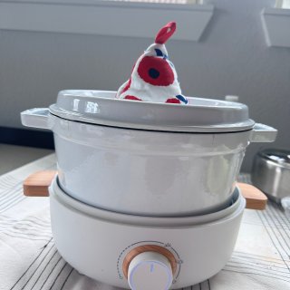 我好像找到了我的梦中情锅...