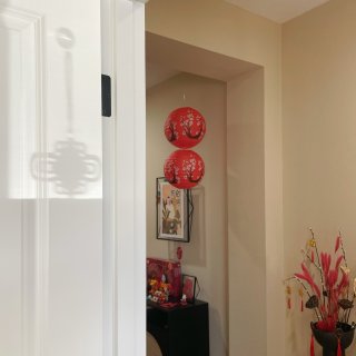 蛇年家居一角，剪纸安排上...