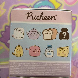 分享～Pusheen cat 娃娃吊飾盲...