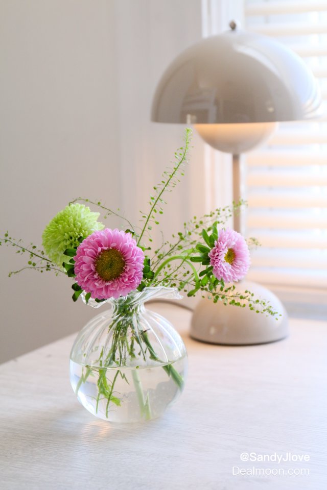 花点时间装饰生活｜Trader J...