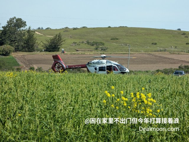 春日上春山，hiking路上偶遇急救