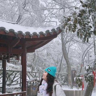带爸妈去了一趟张家界😬天门山国家公园攻略...