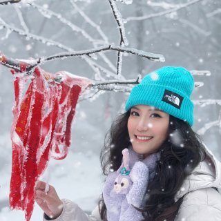 带爸妈去了一趟张家界😬天门山国家公园攻略...