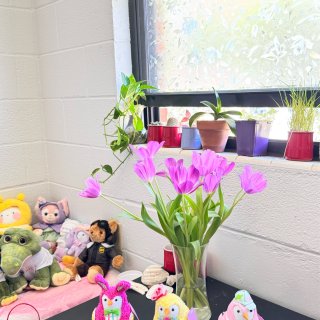 夏天就要🌸🌸🌸...