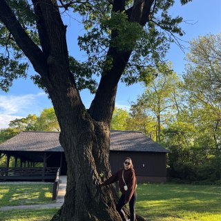 大地色系修长运动穿搭，实况图好玩...