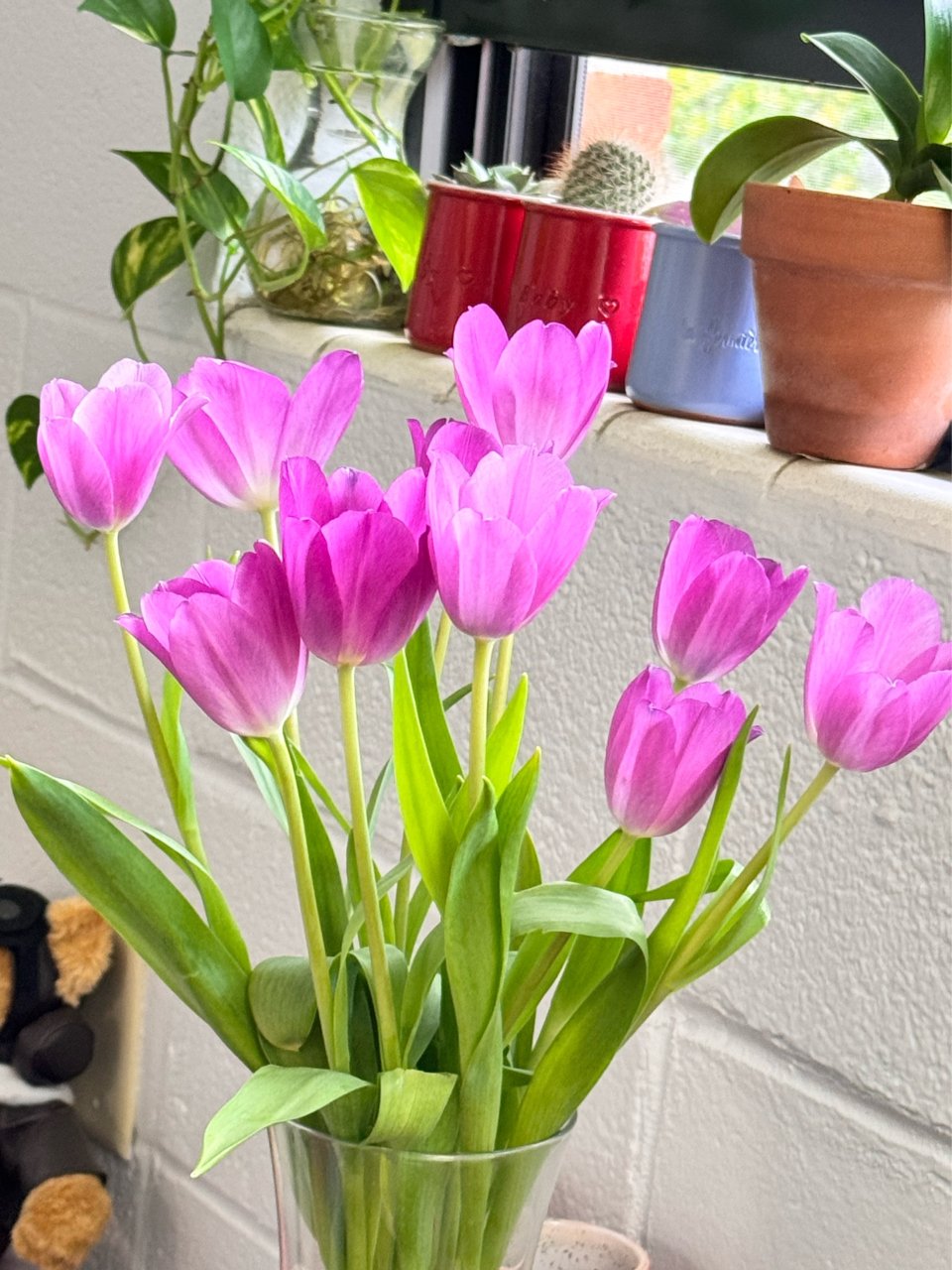 夏天就要🌸🌸🌸...