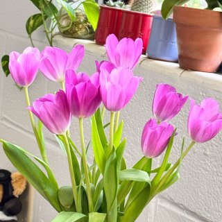 夏天就要🌸🌸🌸...