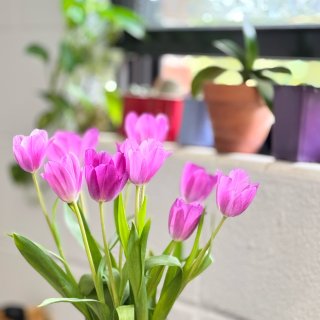 夏天就要🌸🌸🌸...