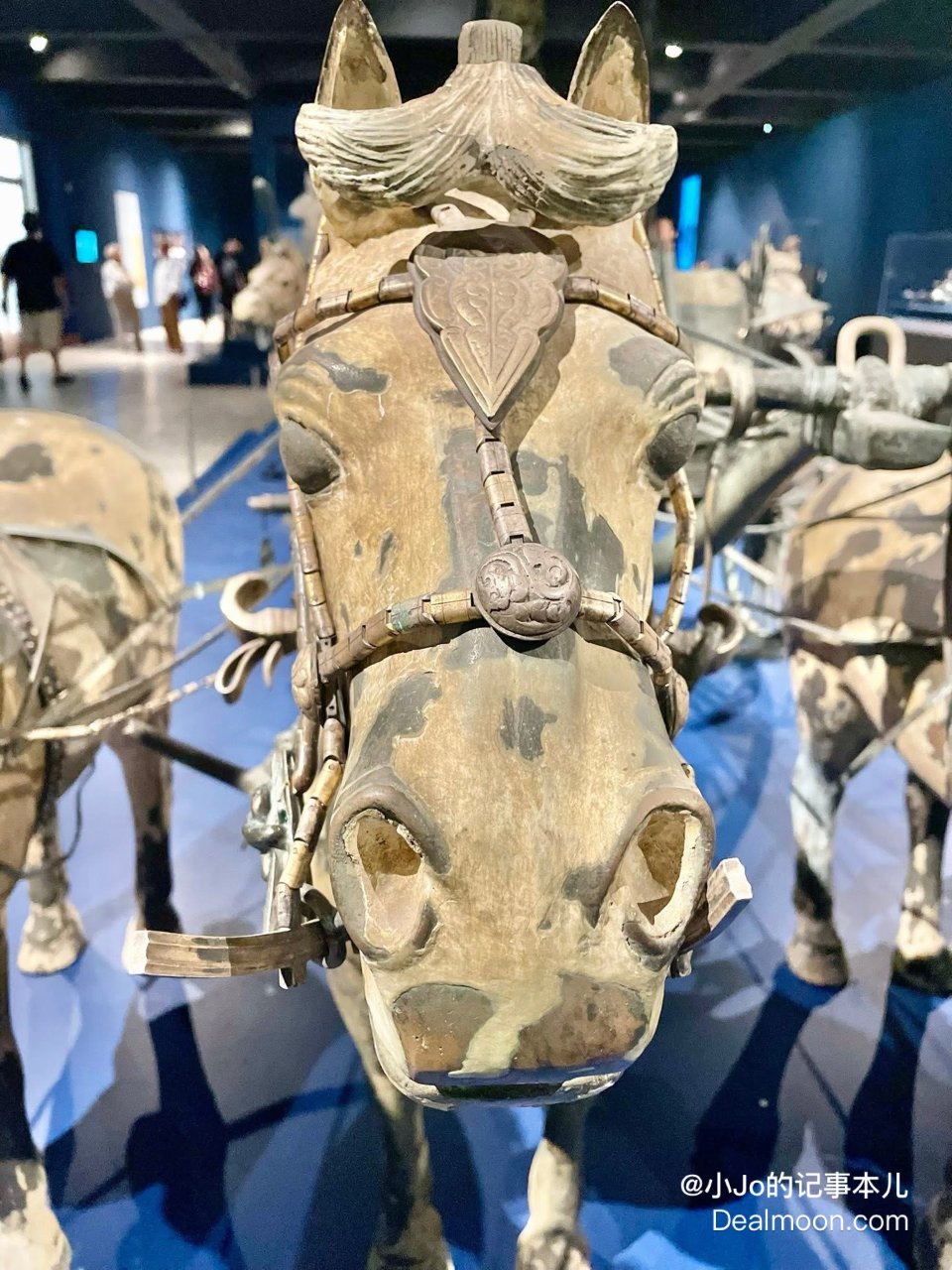 兵馬俑 兵馬俑 2025