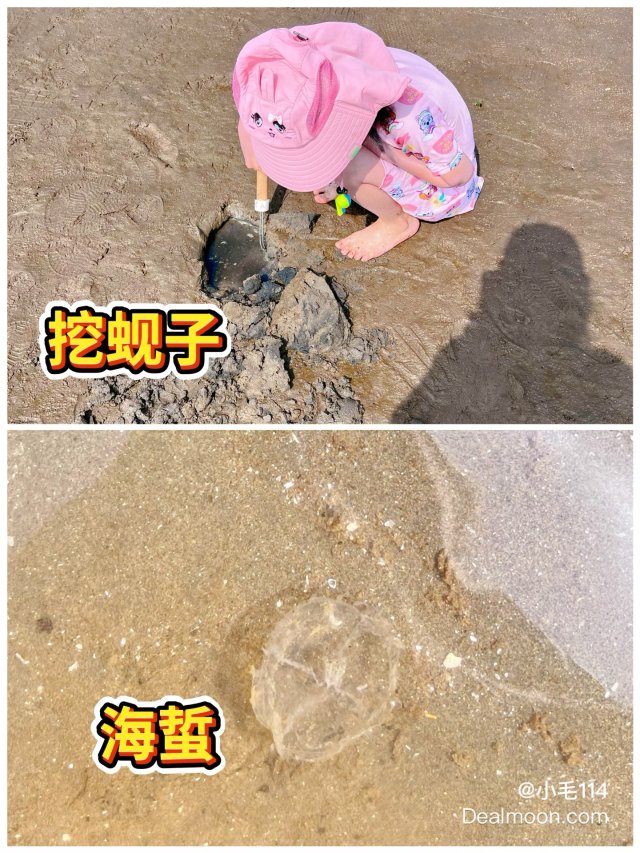 在海边怎么能不赶海