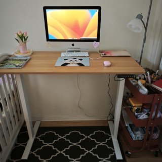 FLEXISPOT基本款升降桌开箱...