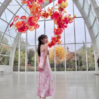 夏日花式度假⛱️｜今年份小粉裙买到啦🤩｜...