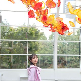 lululemon 露露乐檬