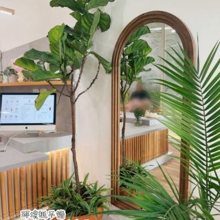 湾区|半岛多了一家喝着不错的抹茶焙茶专店...