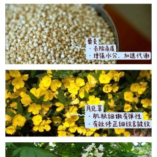 年度涂抹面膜｜娇韵诗很缩毛孔的“冷疗”涂...