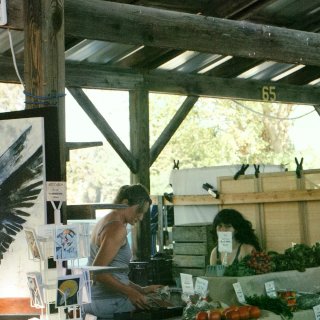 Ithaca|November as i...