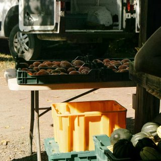 Ithaca|November as i...