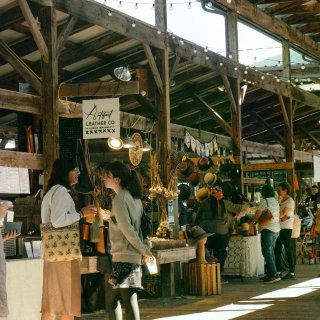 Ithaca|November as i...