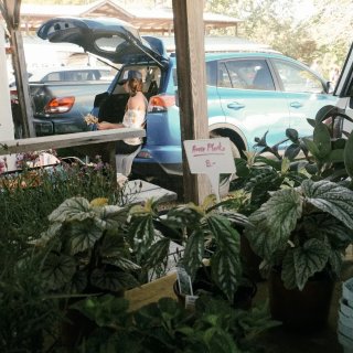 Ithaca|November as i...