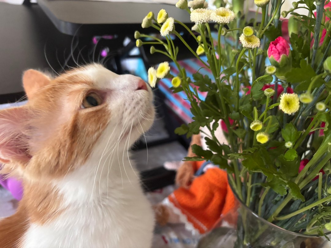 2025年，遇到你真好！你也这样想吗😄