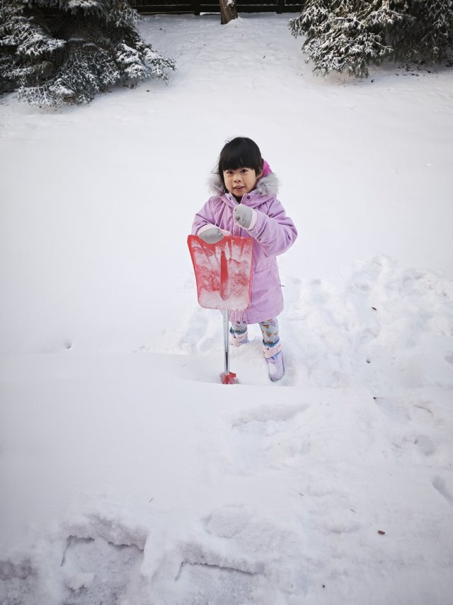 25年卡尔加里探亲之爷爷家后院堆雪人⛄️