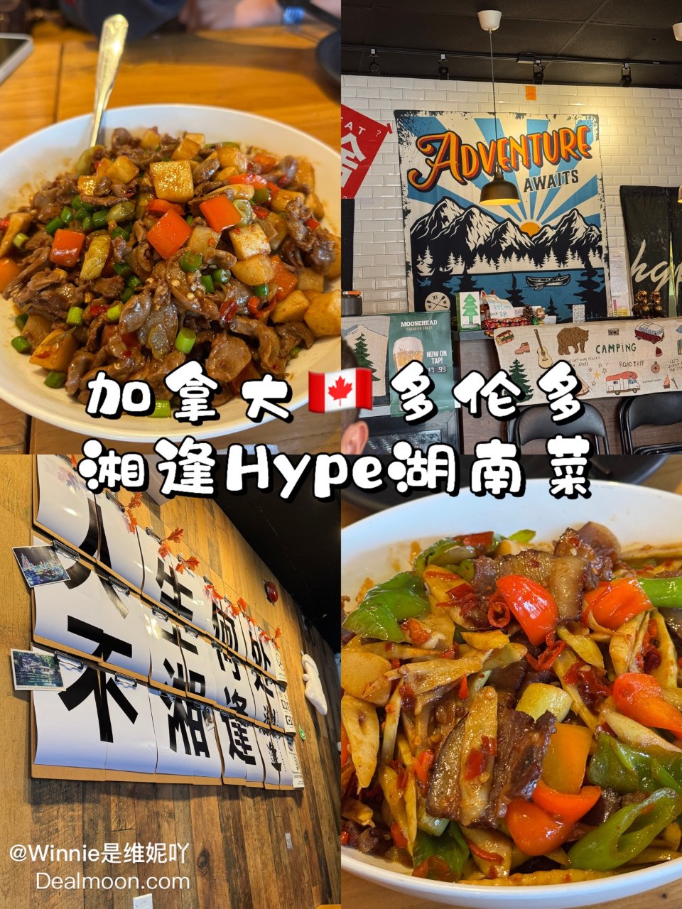 多伦多湘逢Hype｜吃辣星人感动到流泪🥹...