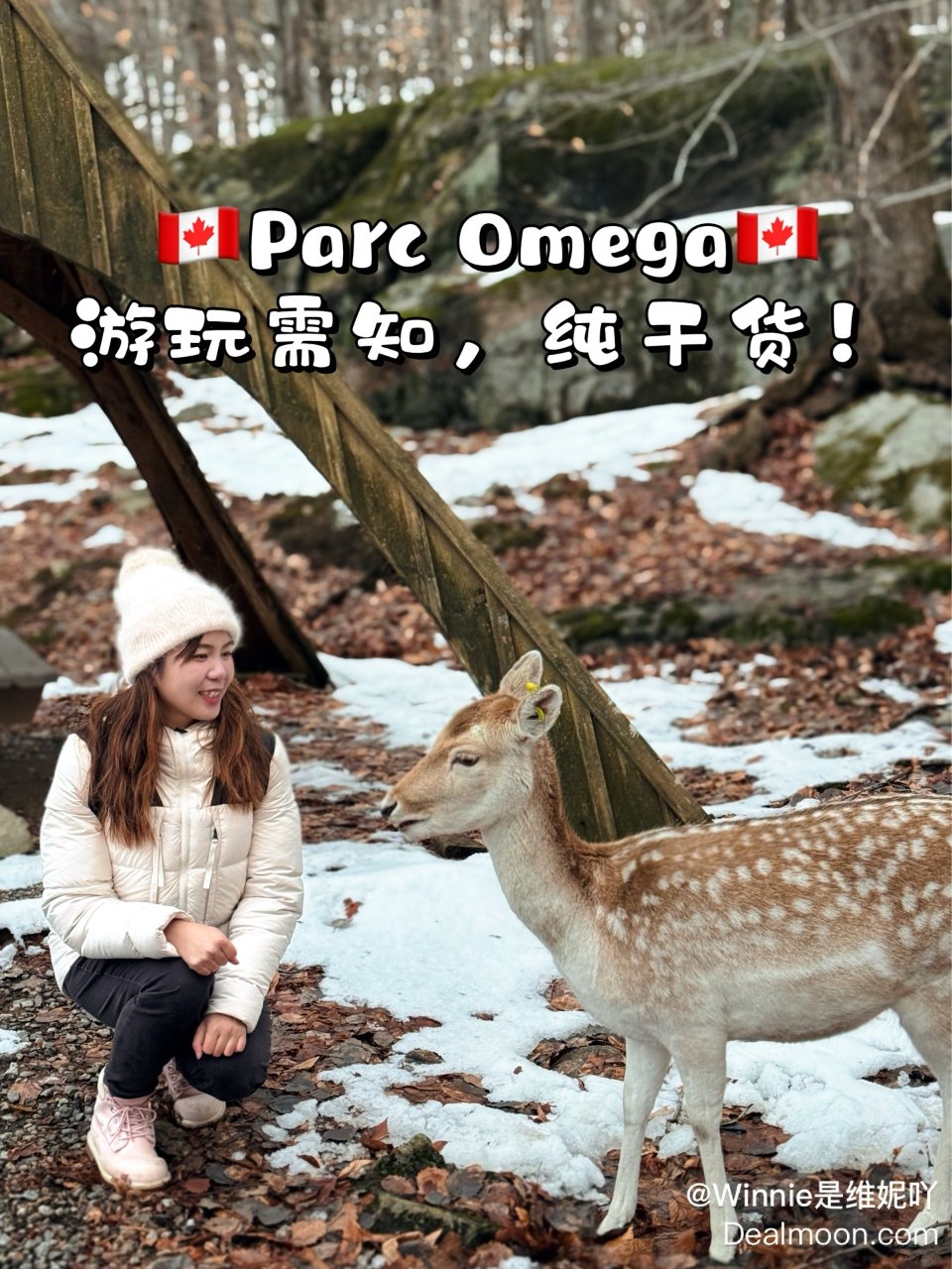 🇨🇦加拿大版小奈良👉体验被鹿包围的快乐...