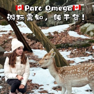 🇨🇦加拿大版小奈良👉体验被鹿包围的快乐...