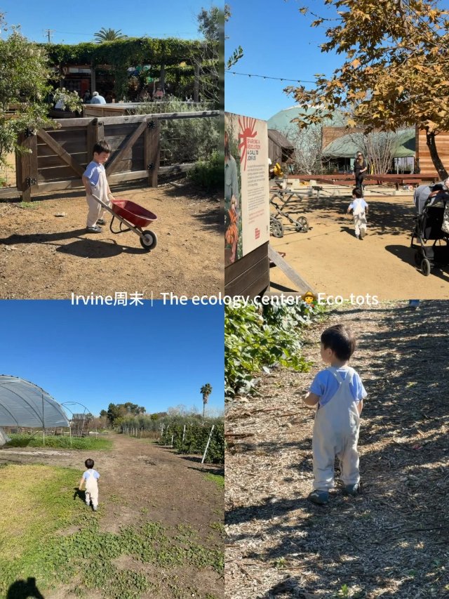 周末松弛感遛娃✨又一天玩疯跑疯了🏃