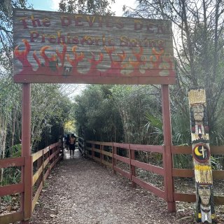 佛州小众仙境之旅：天然泉、湿地、wild...